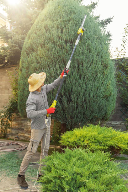 Best Pest Control for Lawns  in Dousman, WI